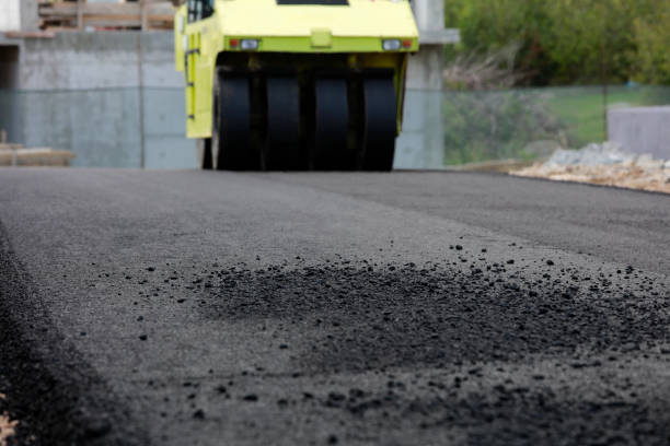 Best Cobblestone Driveway Pavers  in Pebble Creek, FL